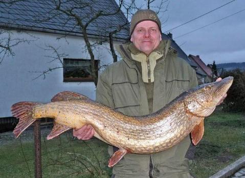 Steffen Gundermann -  Hecht 
 118 cm - 13650 g 
 Bleilochstausee 
 23.01.2011 